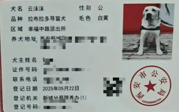 ▲2025年5月22日，云沫沫在西安取得了养犬登记证。图/大风新闻