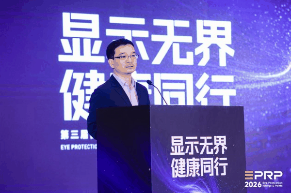 中国电子视像行业协会秘书长 董敏