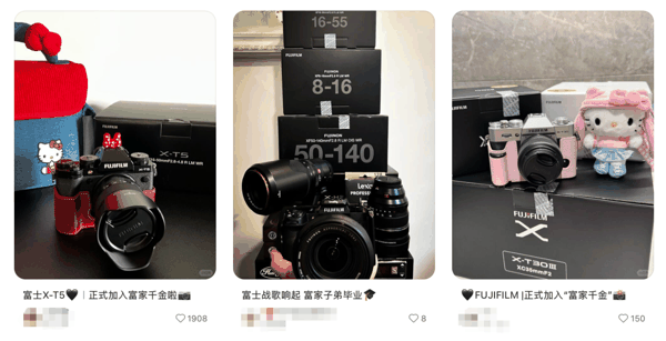 截图来源于小红书