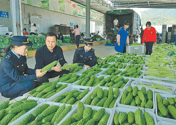 　　于都县市场监督管理局工作人员入企指导品牌建设。资料图
