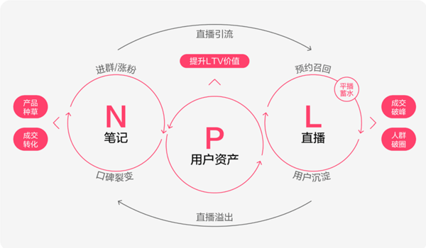 图源：《小红书商业动态》公众号