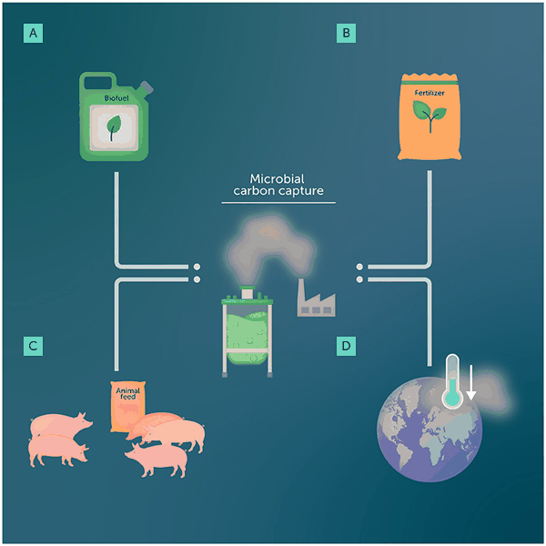 微生物产物.jpg