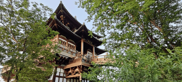 微信图片_2026-06-12_113240_842.jpg