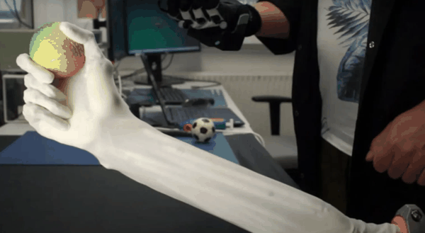 （来源：Clone Robotics）