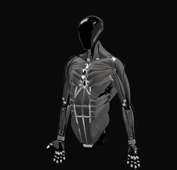 （来源：Clone Robotics）