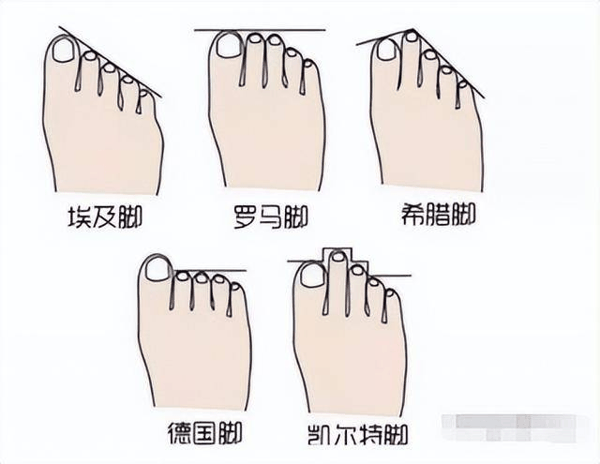 10种罕见的人体特征，拥有一个或是“天选之人”