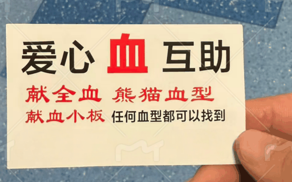 ▲媒体记者在医院获取的倒卖献血证卡片。图/上游新闻
