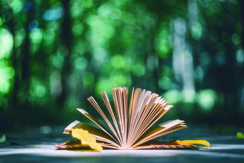 图片来源：摄图网