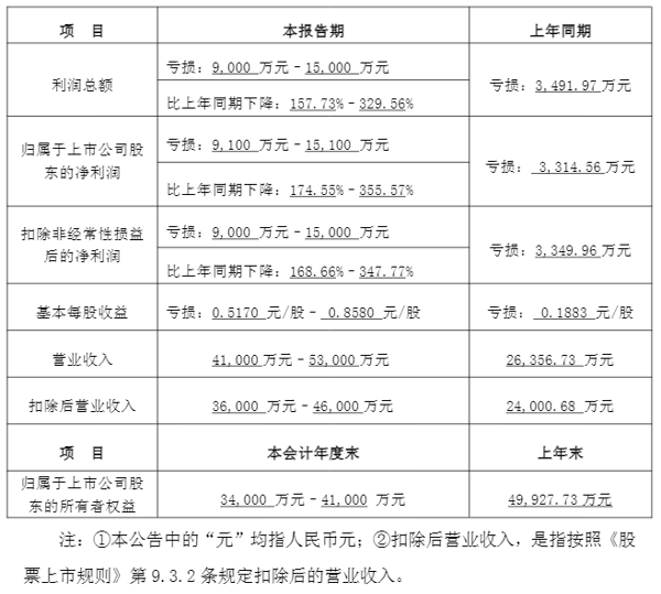 *ST赛隆公告截图