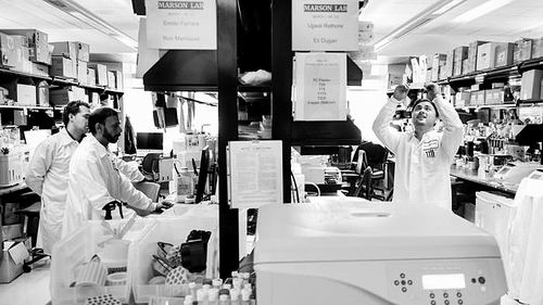 图片来源：Gladstone Institutes