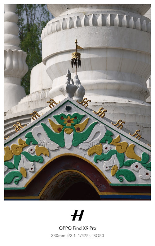 原图放大后画面非常扎实清晰且没有明显算法介入，纯正的光学味道