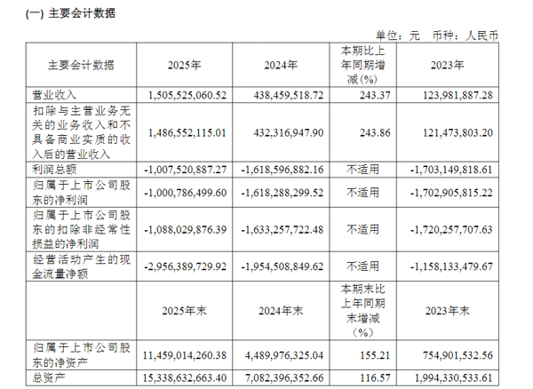 2025年年报截图