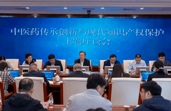 图为座谈会现场