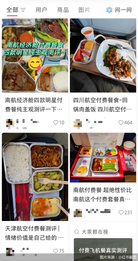 图片来源：小红书截图