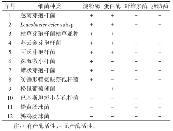 白斑蛾蚋幼虫肠道细菌产消化酶情况。
