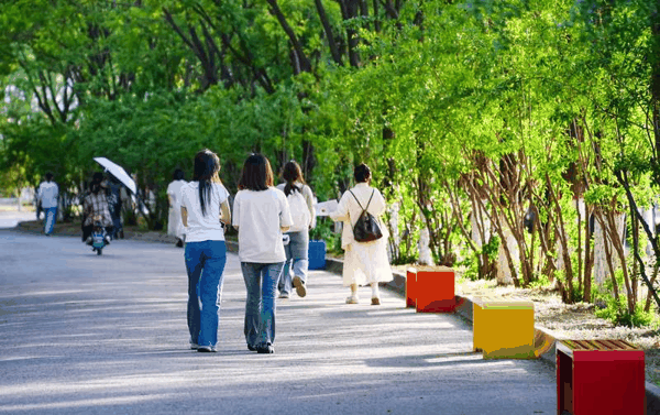 ▲资料图：西外校园一景。图/西安外国语大学官网