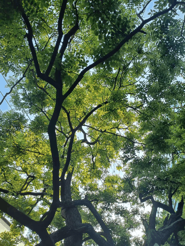 微信图片_20260513164308_790_93.jpg