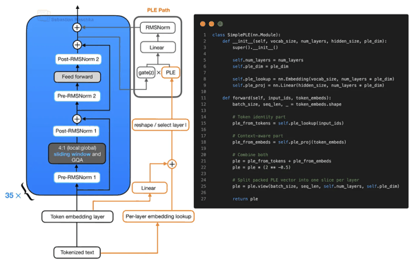 简化版 PLE（Per-Layer Embeddings）构建流程