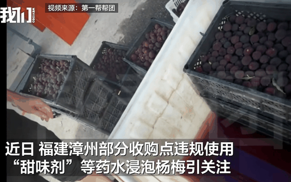 ▲“泡药杨梅”事件引发广泛关注。图/新京报