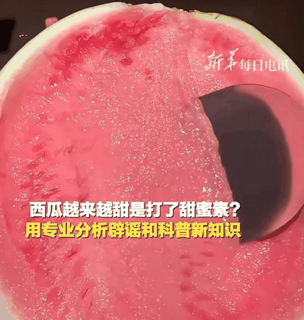 ▲初夏时节，西瓜上市，一些所谓的“安全提醒”也准时返场。图/新华社