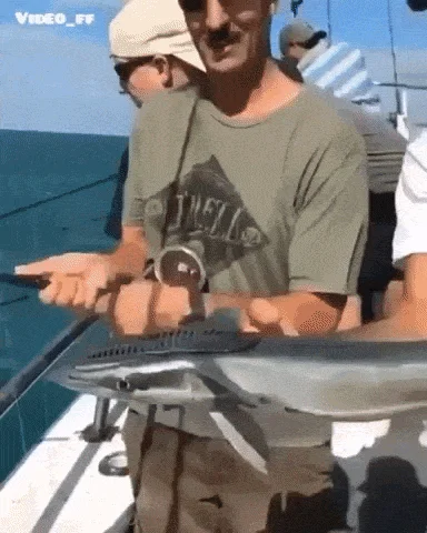 世界上最不要脸的鱼 一有机会就钻菊花