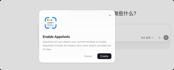 以前还要自己手动截图，现在 Codex 不仅能处理截图，还能直接读到一整个应用窗口的信息。