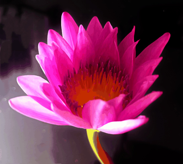 IMG_20260425_111105.jpg