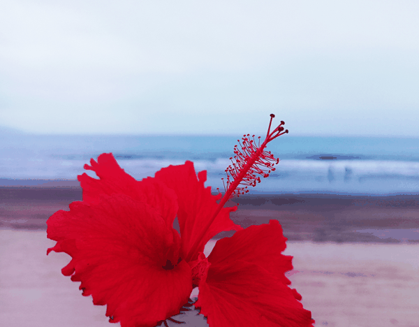 IMG_20250424_124014.jpg