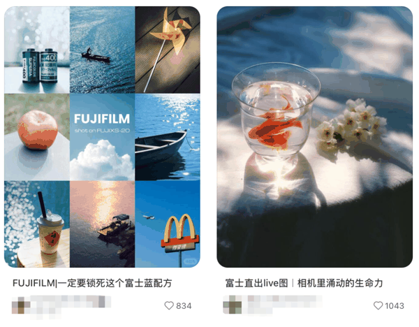 截图来源于小红书