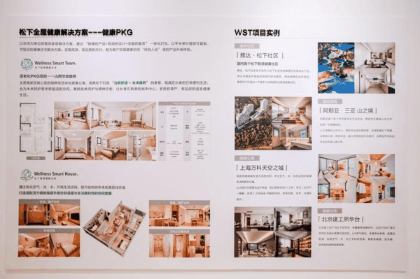 图：松下WST项目实例