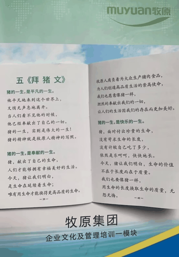▲近日，知名上市公司牧原集团“拜猪文”引关注。图/潇湘晨报