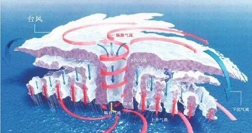 台风的“剖面结构“示意图