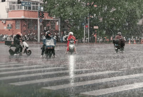 长椿街，市民在大雨中骑行。