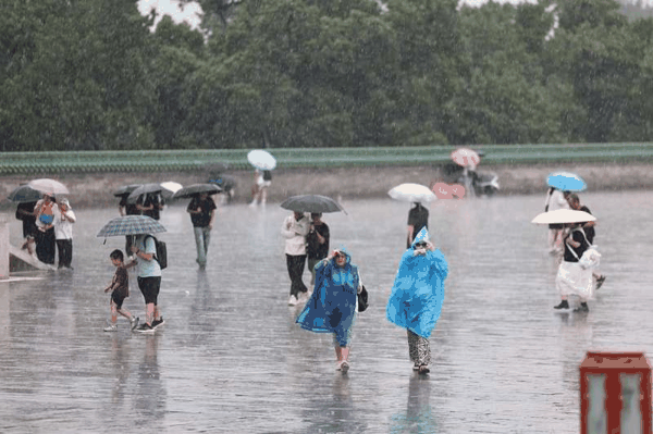 长椿街，市民在大雨中骑行。