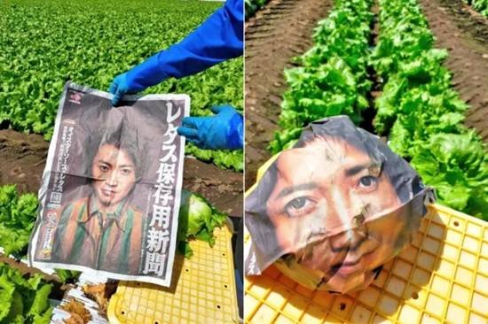 责任编辑：若风
