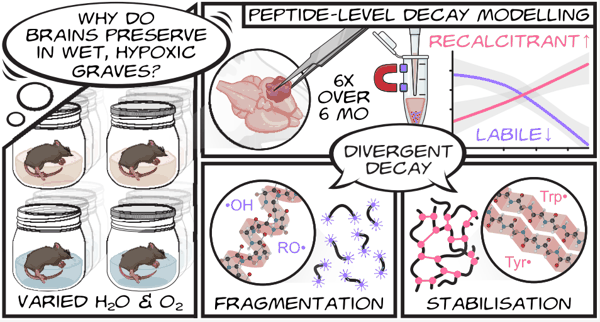 （来源：Journal of Proteome Research）