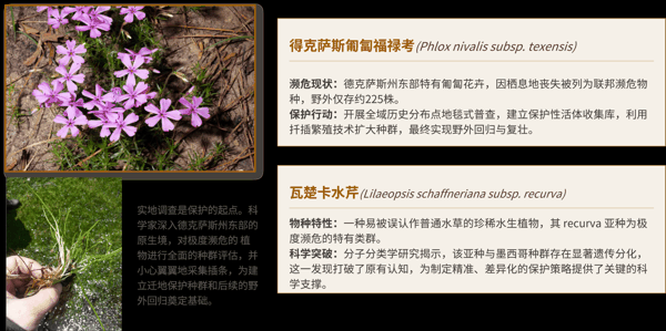 6 德克萨斯州 & 亚利桑那州.png