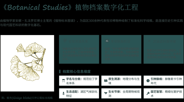 3 《Botanical Studies》植物档案数字化工程.png