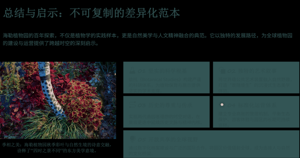 6 总结与启示：不可复制的差异化范本.png