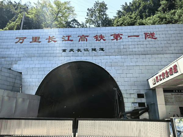 科技日报记者 雍黎 摄