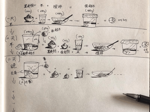 罗朗画了图，让大家理解如何用天然酵母喂好老面。