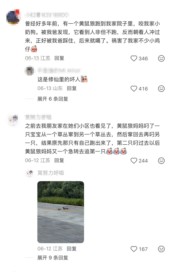 图源：社交平台