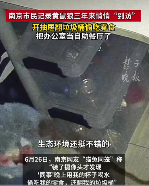 图源：扬子晚报