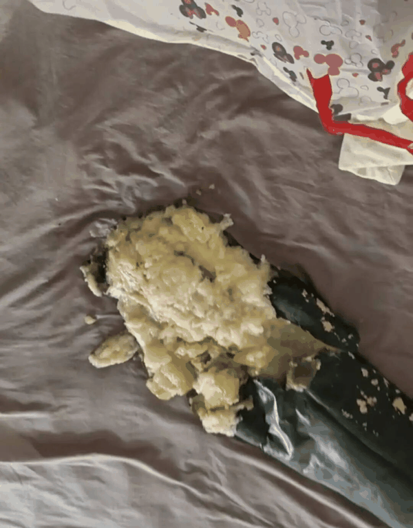 网友晒出破裂的冬瓜