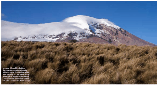 3 厄瓜多尔钦博拉索火山，洪堡当年实测海拔梯度的核心地点.png