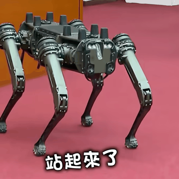 图为“台湾无人载具发展政策”公听会展示的机器狗。截图自联合报UDN视频