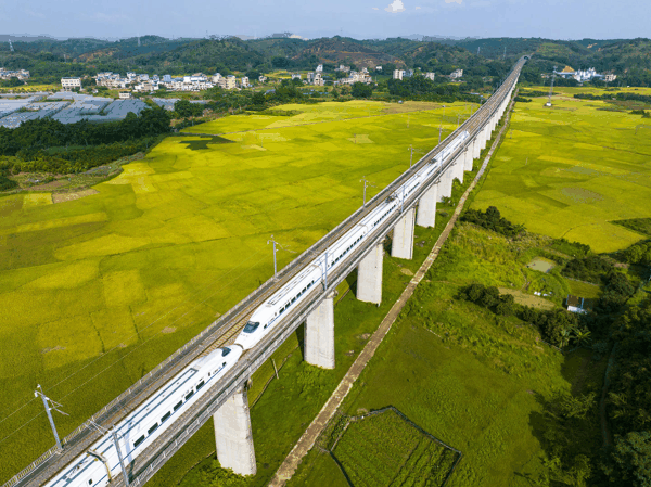 ▲广西梧州，昆广高铁动车列车组驶过 资料图 据IC photo