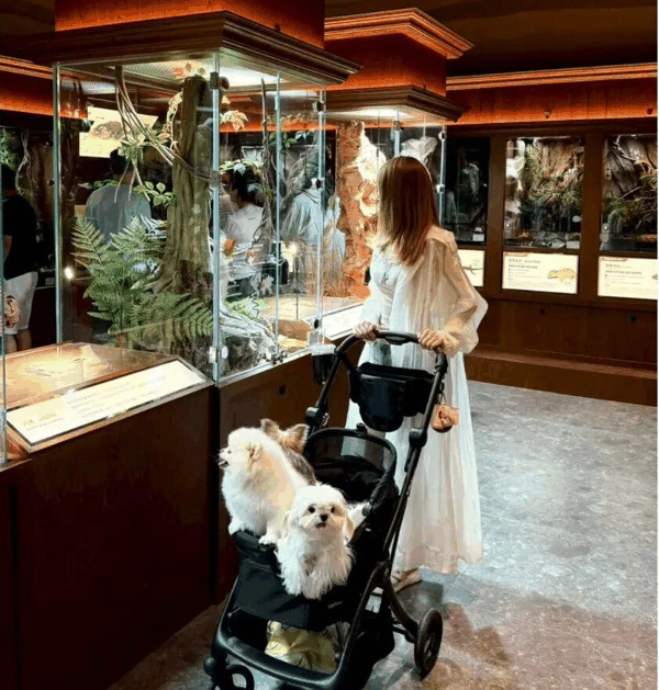 该店还提供撸宠服务，记者在采访时就看到两个小女孩与两条玉米蛇互动了几十分钟。
