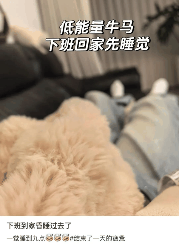 图源：不做饭就没饭吃