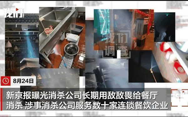▲消杀公司长期使用敌敌畏给餐馆消杀，员工无资质配药靠手指量。图/新京报